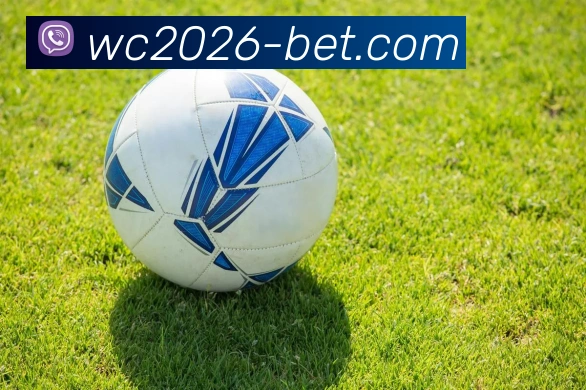 2026 World Cup投注APP 封面图